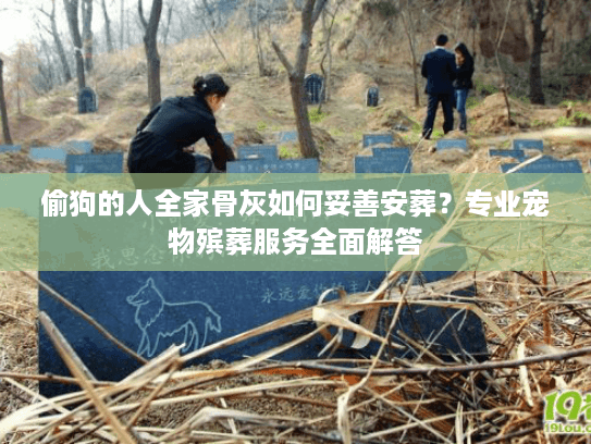 偷狗的人全家骨灰如何妥善安葬？专业宠物殡葬服务全面解答