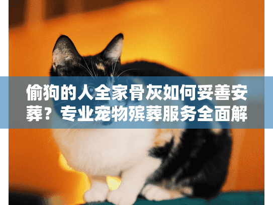偷狗的人全家骨灰如何妥善安葬？专业宠物殡葬服务全面解答