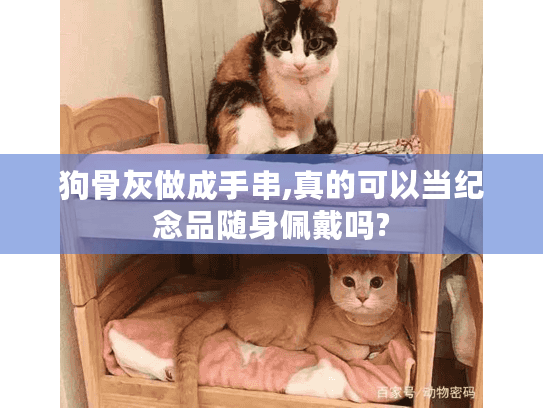 狗骨灰做成手串,真的可以当纪念品随身佩戴吗? 狗骨灰做成手串,真的可以当纪念品随身佩戴吗?