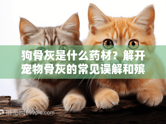 狗骨灰是什么药材?解开宠物骨灰的常见误解和殡葬服务指南 狗骨灰是什么药材?解开宠物骨灰的常见误解和殡葬服务指南