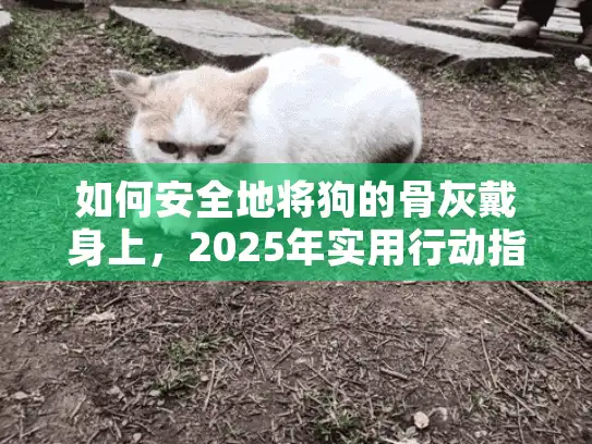 如何安全地将狗的骨灰戴身上,2025年实用行动指南? 如何安全地将狗的骨灰戴身上,2025年实用行动指南?