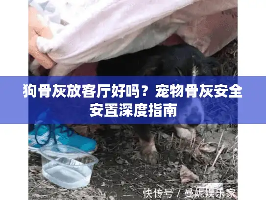 狗骨灰放客厅好吗？宠物骨灰安全安置深度指南