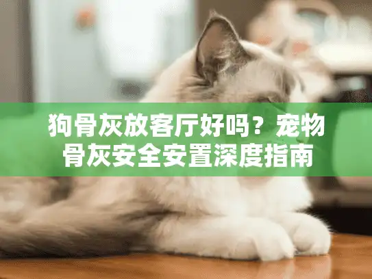 狗骨灰放客厅好吗？宠物骨灰安全安置深度指南