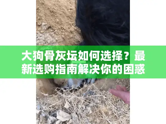 大狗骨灰坛如何选择？最新选购指南解决你的困惑