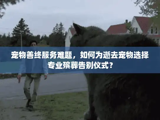 宠物善终服务难题,如何为逝去宠物选择专业殡葬告别仪式? 宠物善终服务难题,如何为逝去宠物选择专业殡葬告别仪式?