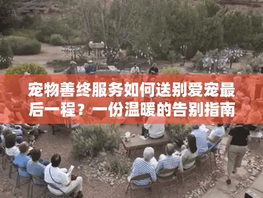 宠物善终服务如何送别爱宠最后一程?一份温暖的告别指南 宠物善终服务如何送别爱宠最后一程?一份温暖的告别指南