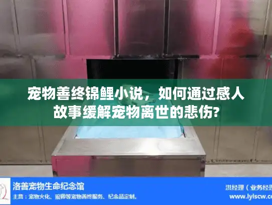 宠物善终锦鲤小说，如何通过感人故事缓解宠物离世的悲伤?