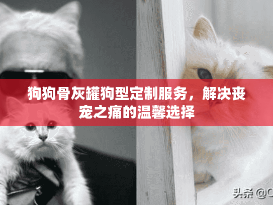 狗狗骨灰罐狗型定制服务，解决丧宠之痛的温馨选择