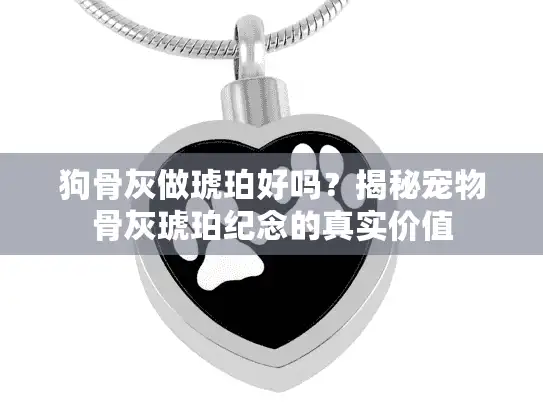 狗骨灰做琥珀好吗?揭秘宠物骨灰琥珀纪念的真实价值 狗骨灰做琥珀好吗?揭秘宠物骨灰琥珀纪念的真实价值