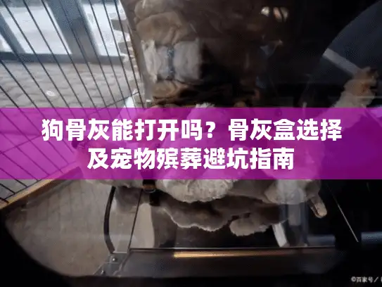狗骨灰能打开吗？骨灰盒选择及宠物殡葬避坑指南