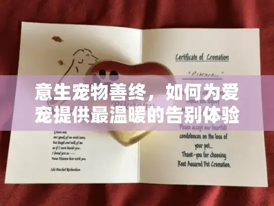 意生宠物善终，如何为爱宠提供最温暖的告别体验？