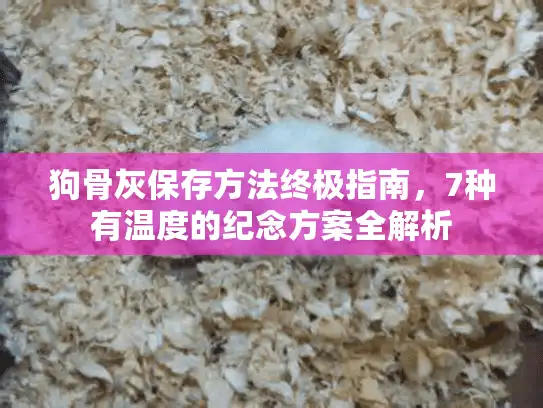 狗骨灰保存方法终极指南，7种有温度的纪念方案全解析
