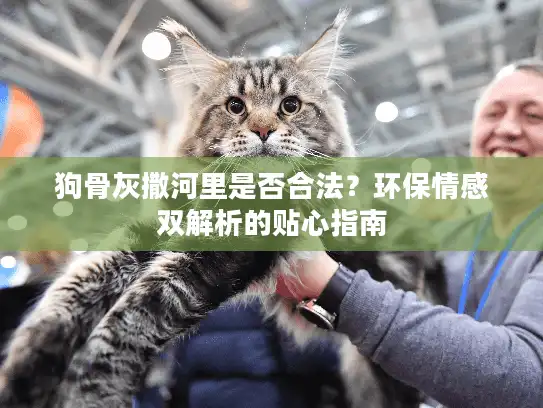 狗骨灰撒河里是否合法？环保情感双解析的贴心指南