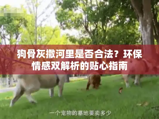狗骨灰撒河里是否合法？环保情感双解析的贴心指南