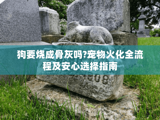 狗要烧成骨灰吗?宠物火化全流程及安心选择指南