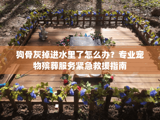 狗骨灰掉进水里了怎么办？专业宠物殡葬服务紧急救援指南