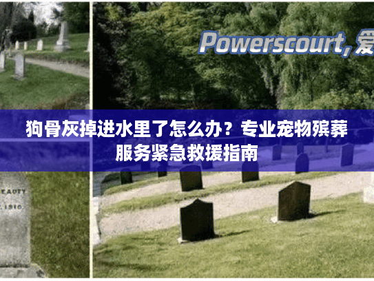 狗骨灰掉进水里了怎么办？专业宠物殡葬服务紧急救援指南
