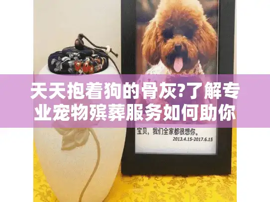 天天抱着狗的骨灰?了解专业宠物殡葬服务如何助你走出悲伤