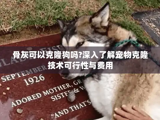骨灰可以克隆狗吗?深入了解宠物克隆技术可行性与费用