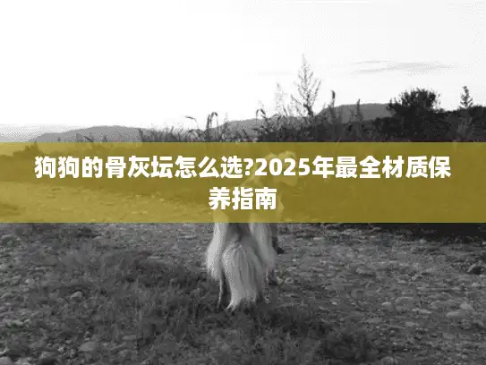 狗狗的骨灰坛怎么选?2025年最全材质保养指南