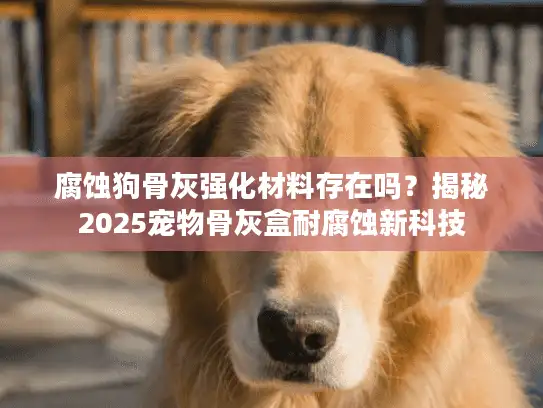 腐蚀狗骨灰强化材料存在吗？揭秘2025宠物骨灰盒耐腐蚀新科技