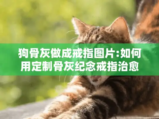 狗骨灰做成戒指图片:如何用定制骨灰纪念戒指治愈宠物离去之痛 狗骨灰做成戒指图片:如何用定制骨灰纪念戒指治愈宠物离去之痛