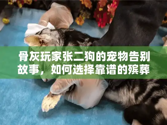 骨灰玩家张二狗的宠物告别故事，如何选择靠谱的殡葬服务？