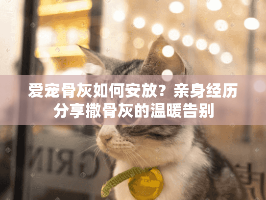 爱宠骨灰如何安放？亲身经历分享撒骨灰的温暖告别