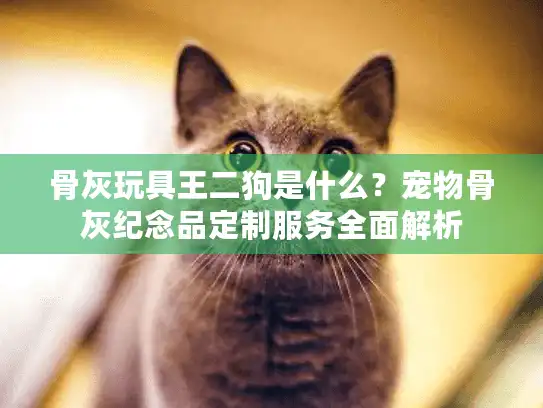 骨灰玩具王二狗是什么？宠物骨灰纪念品定制服务全面解析
