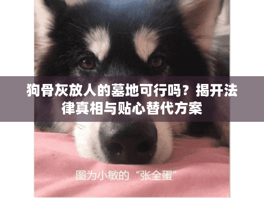 狗骨灰放人的墓地可行吗？揭开法律真相与贴心替代方案