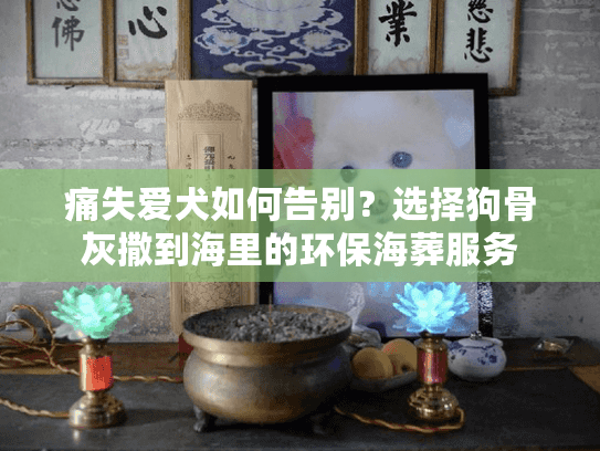 痛失爱犬如何告别?选择狗骨灰撒到海里的环保海葬服务 痛失爱犬如何告别?选择狗骨灰撒到海里的环保海葬服务