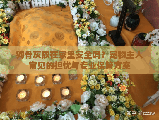 狗骨灰放在家里安全吗?宠物主人常见的担忧与专业保管方案 狗骨灰放在家里安全吗?宠物主人常见的担忧与专业保管方案