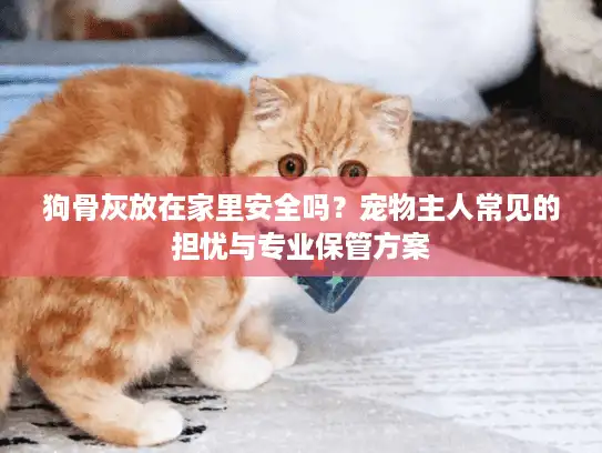 狗骨灰放在家里安全吗?宠物主人常见的担忧与专业保管方案 狗骨灰放在家里安全吗?宠物主人常见的担忧与专业保管方案