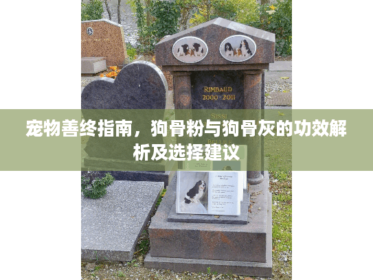 宠物善终指南，狗骨粉与狗骨灰的功效解析及选择建议