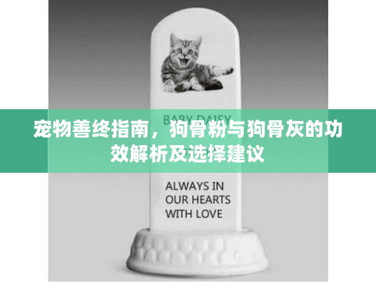 宠物善终指南，狗骨粉与狗骨灰的功效解析及选择建议
