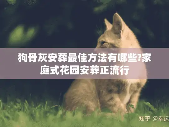 狗骨灰安葬最佳方法有哪些?家庭式花园安葬正流行