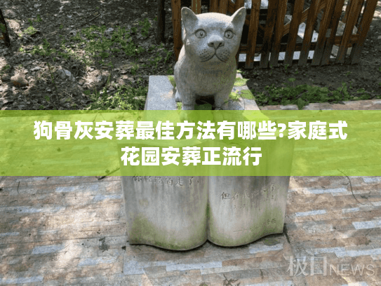 狗骨灰安葬最佳方法有哪些?家庭式花园安葬正流行