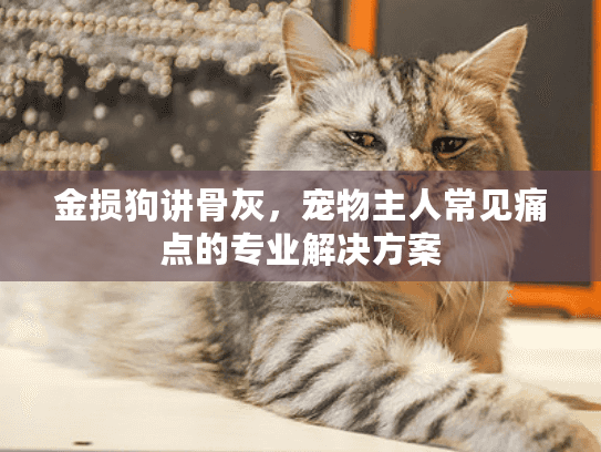 金损狗讲骨灰，宠物主人常见痛点的专业解决方案