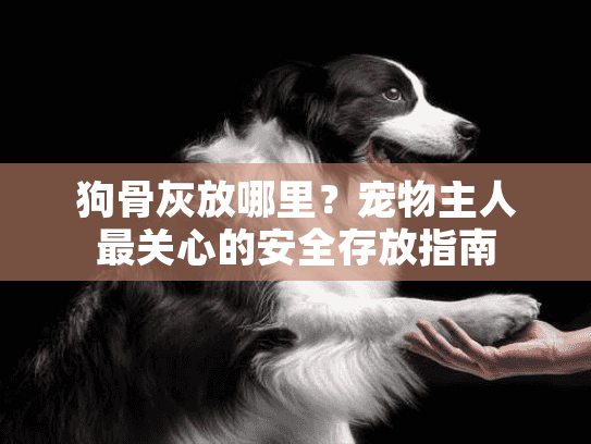 狗骨灰放哪里？宠物主人最关心的安全存放指南