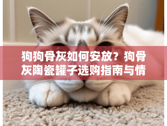 狗狗骨灰如何安放？狗骨灰陶瓷罐子选购指南与情感益处