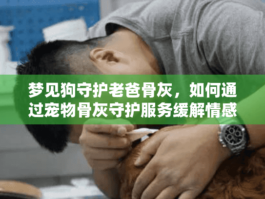 梦见狗守护老爸骨灰，如何通过宠物骨灰守护服务缓解情感伤痛