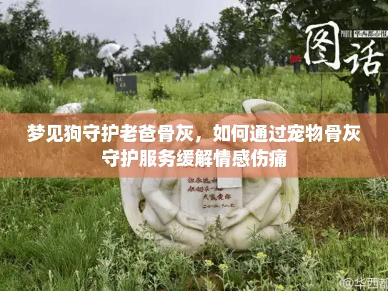 梦见狗守护老爸骨灰，如何通过宠物骨灰守护服务缓解情感伤痛