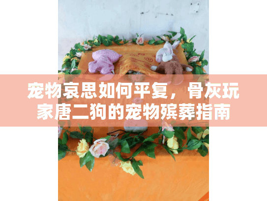 宠物哀思如何平复，骨灰玩家唐二狗的宠物殡葬指南