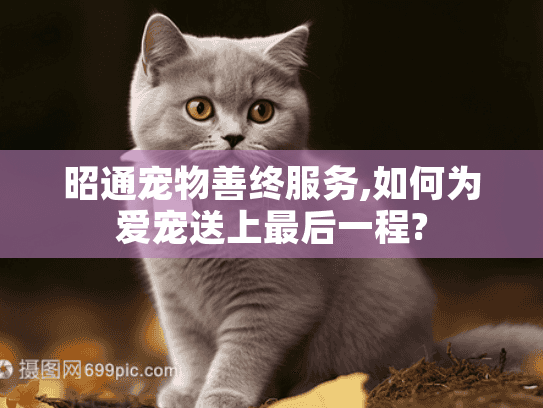 昭通宠物善终服务,如何为爱宠送上最后一程?