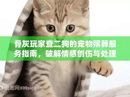 骨灰玩家查二狗的宠物殡葬服务指南，破解情感创伤与处理难题