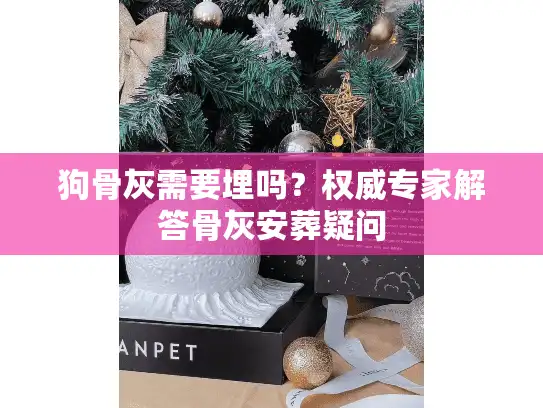 狗骨灰需要埋吗？权威专家解答骨灰安葬疑问