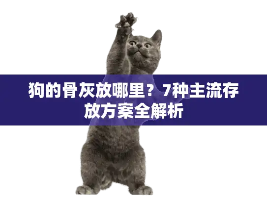 狗的骨灰放哪里？7种主流存放方案全解析