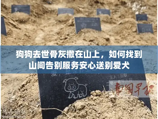 狗狗去世骨灰撒在山上，如何找到山间告别服务安心送别爱犬