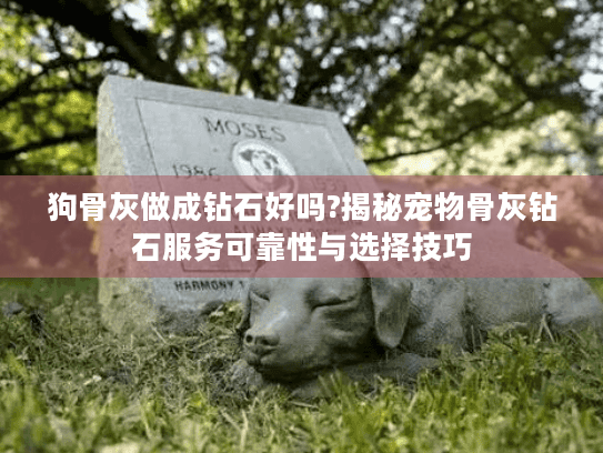 狗骨灰做成钻石好吗?揭秘宠物骨灰钻石服务可靠性与选择技巧