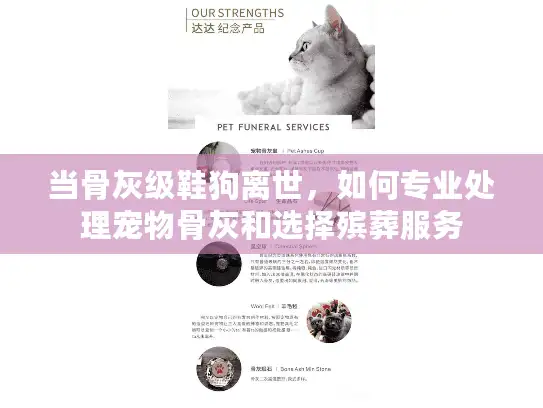 当骨灰级鞋狗离世，如何专业处理宠物骨灰和选择殡葬服务